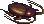 Kakerlake